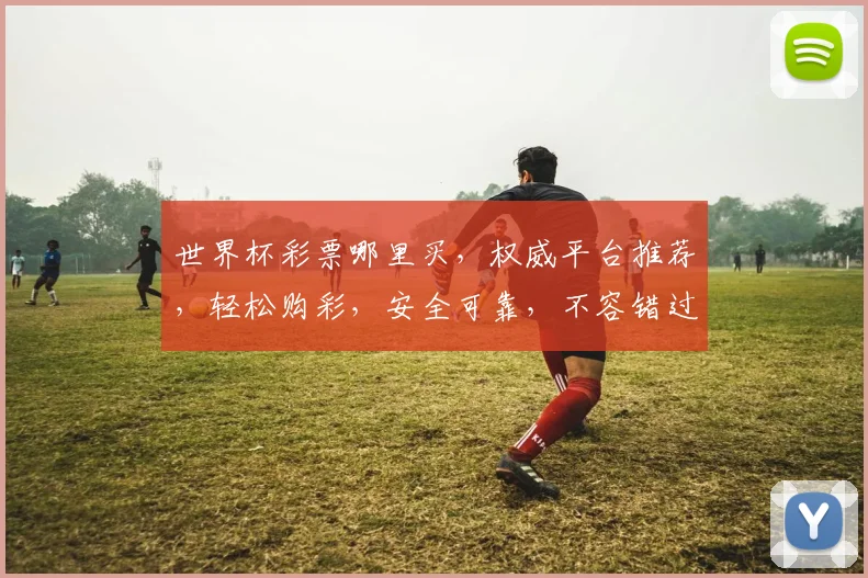 世界杯彩票哪里买，权威平台推荐，轻松购彩，安全可靠，不容错过，