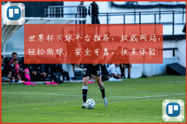 世界杯买球平台推荐，权威网站，轻松购球，安全可靠，快来体验