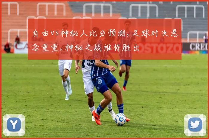 自由vs神秘人比分预测,足球对决悬念重重,神秘之战谁将胜出
